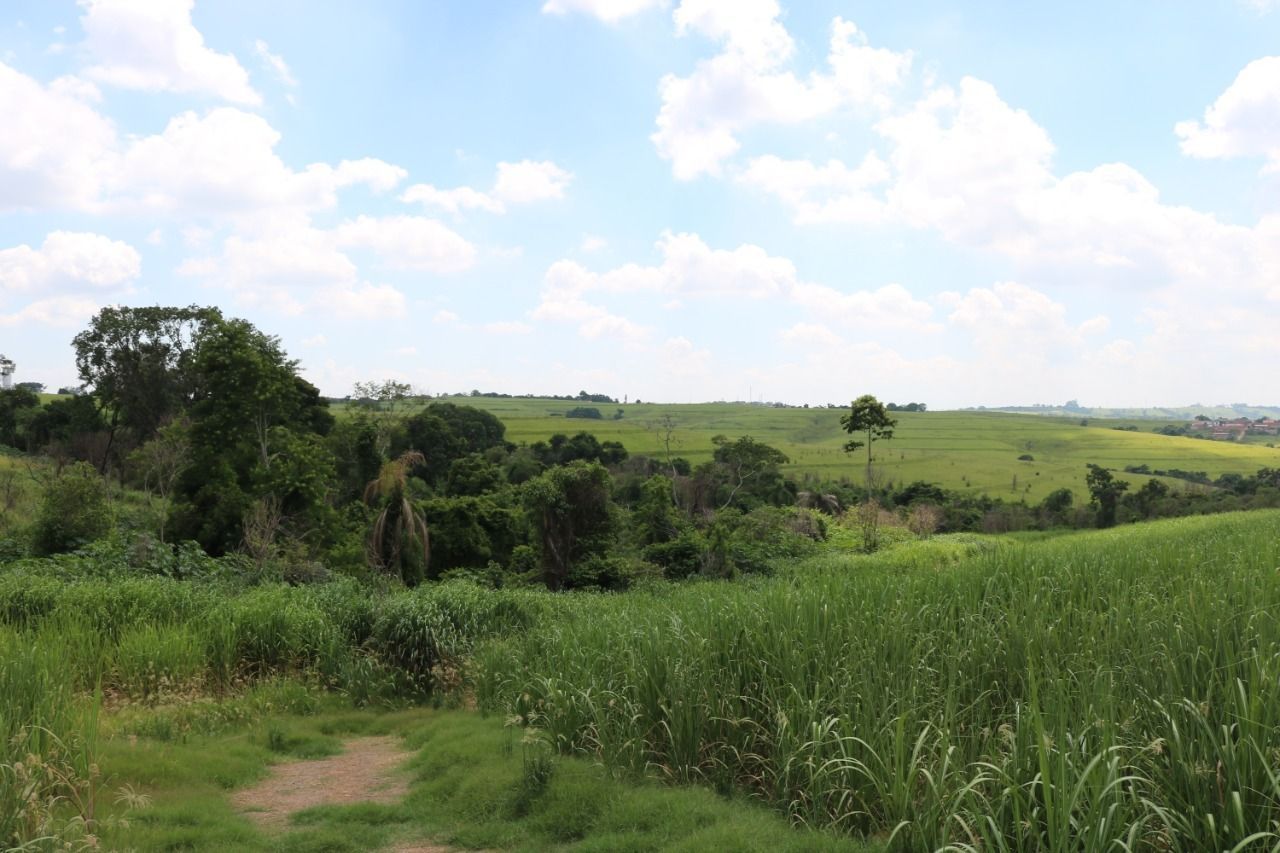 Terreno à venda, 124000m² - Foto 13