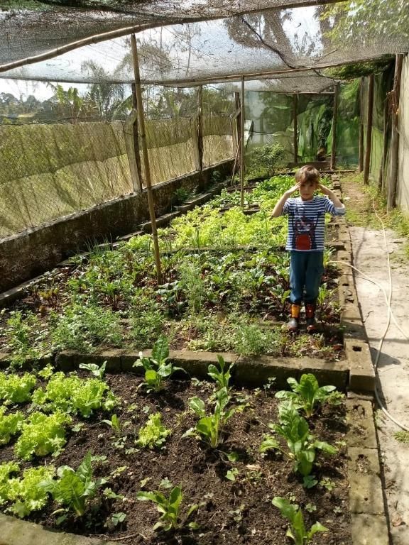 Fazenda à venda com 6 quartos, 500m² - Foto 6