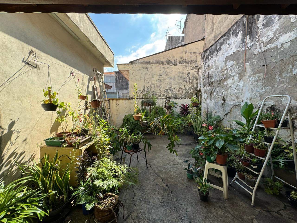 Casa, 3 quartos, 250 m² - Foto 14