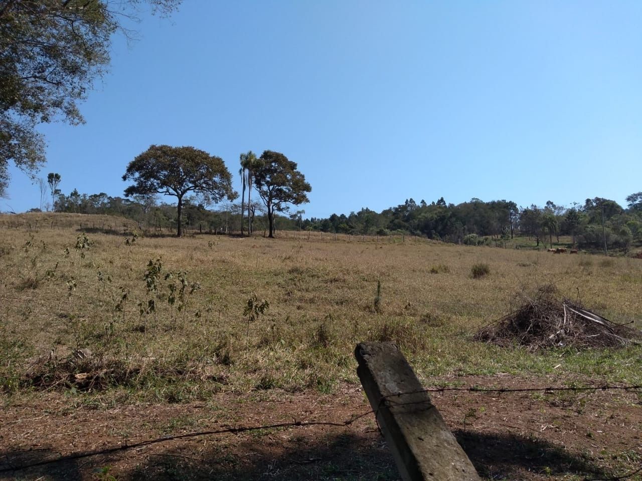 Terreno à venda, 20000m² - Foto 14