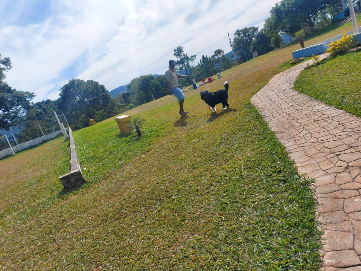Chácara à venda com 4 quartos, 40000m² - Foto 7