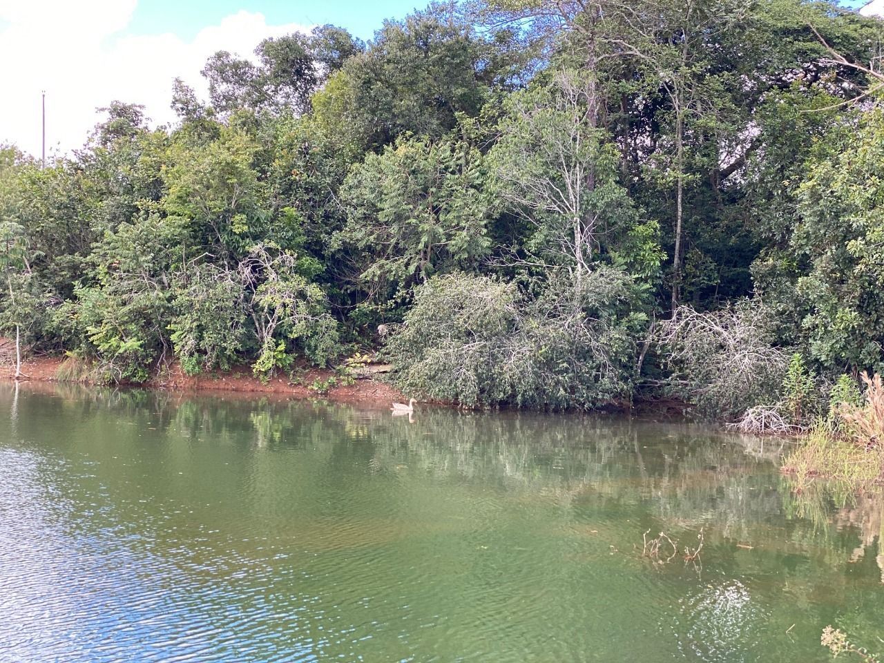 Fazenda à venda com 4 quartos, 330000m² - Foto 7