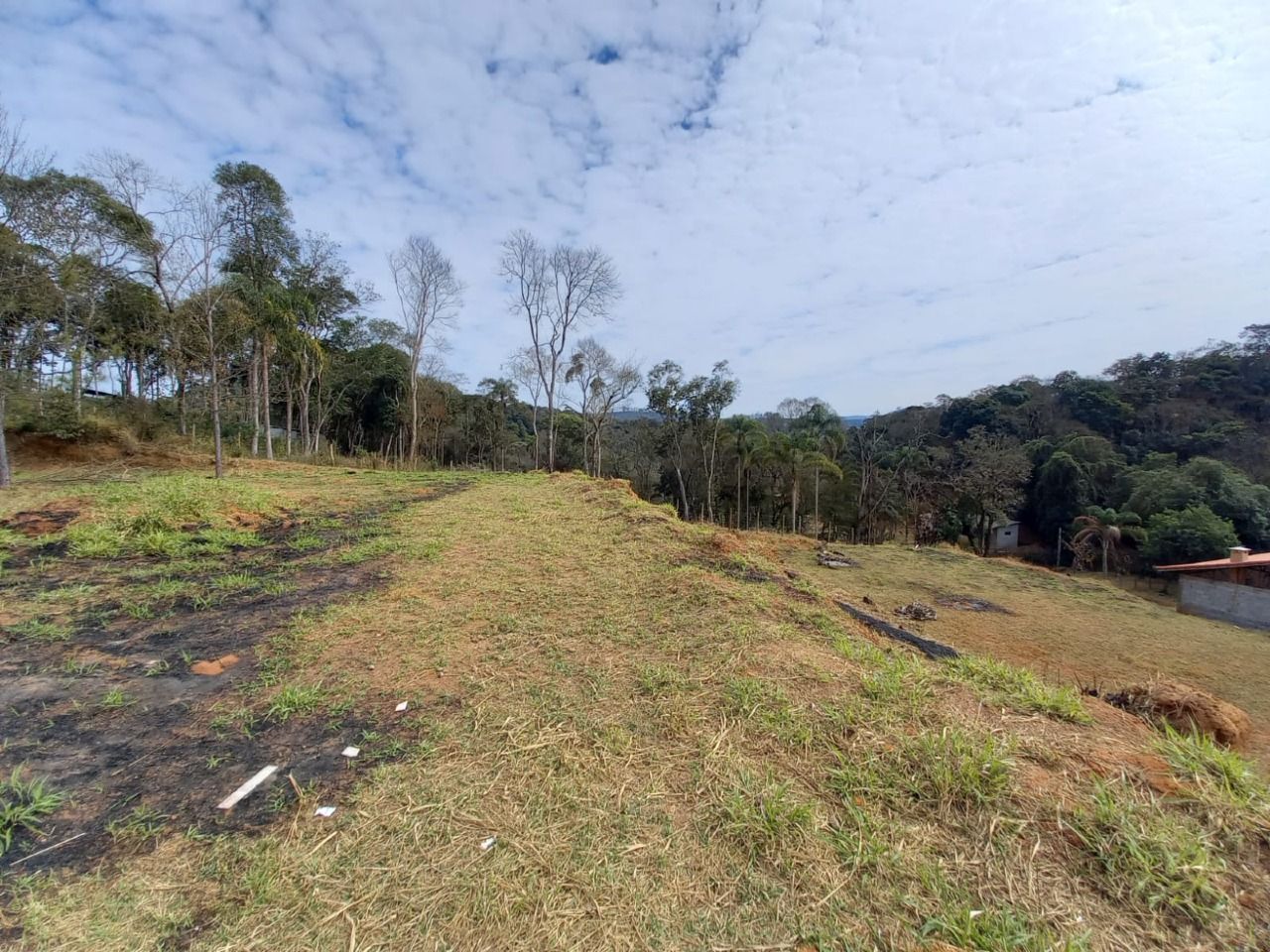 Fazenda à venda com 3 quartos, 105000m² - Foto 10