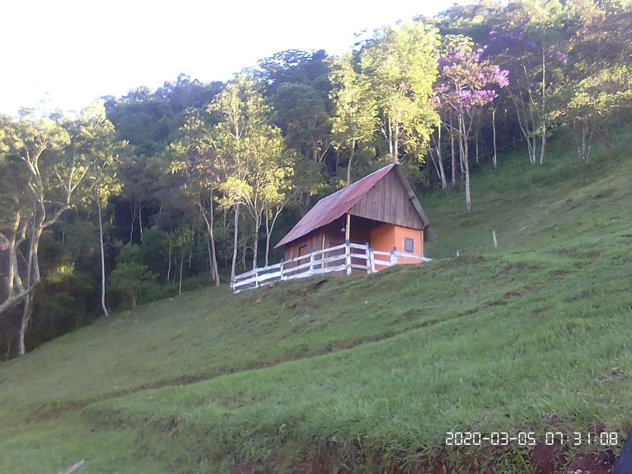 Fazenda à venda com 2 quartos, 300m² - Foto 8