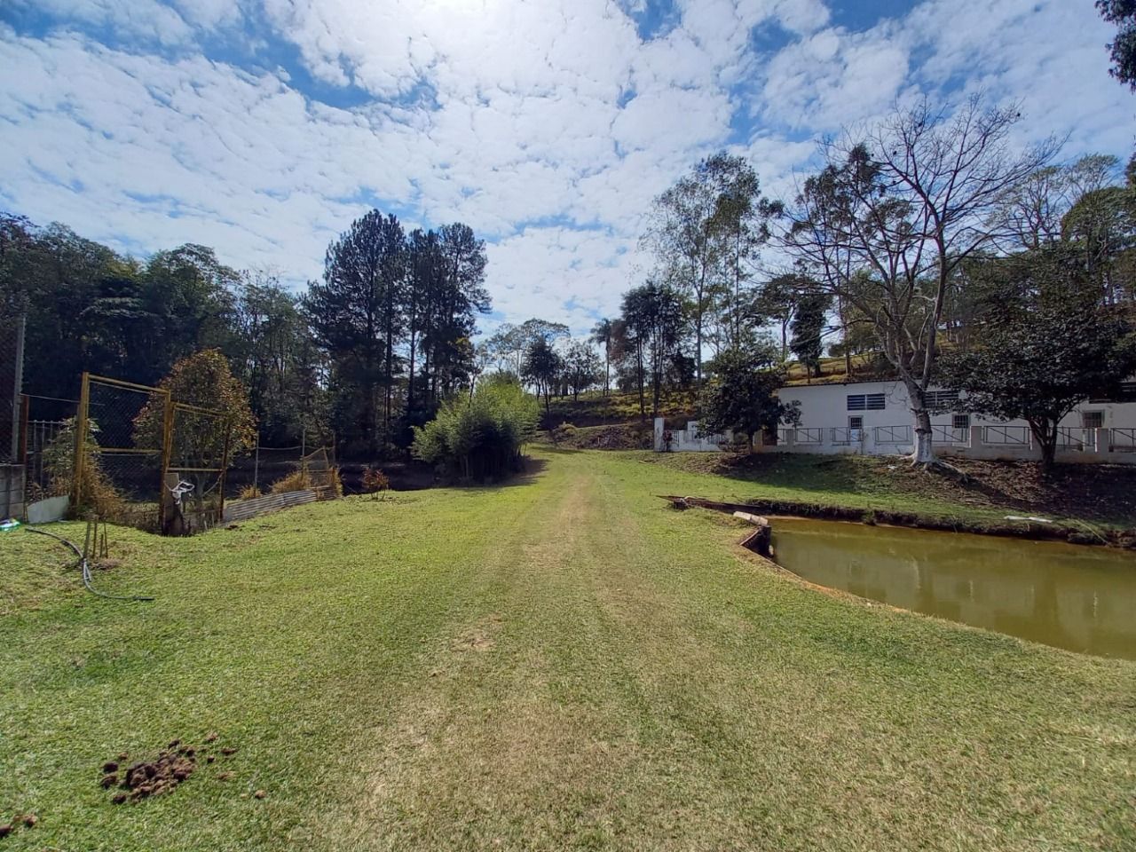 Fazenda à venda com 3 quartos, 105000m² - Foto 22