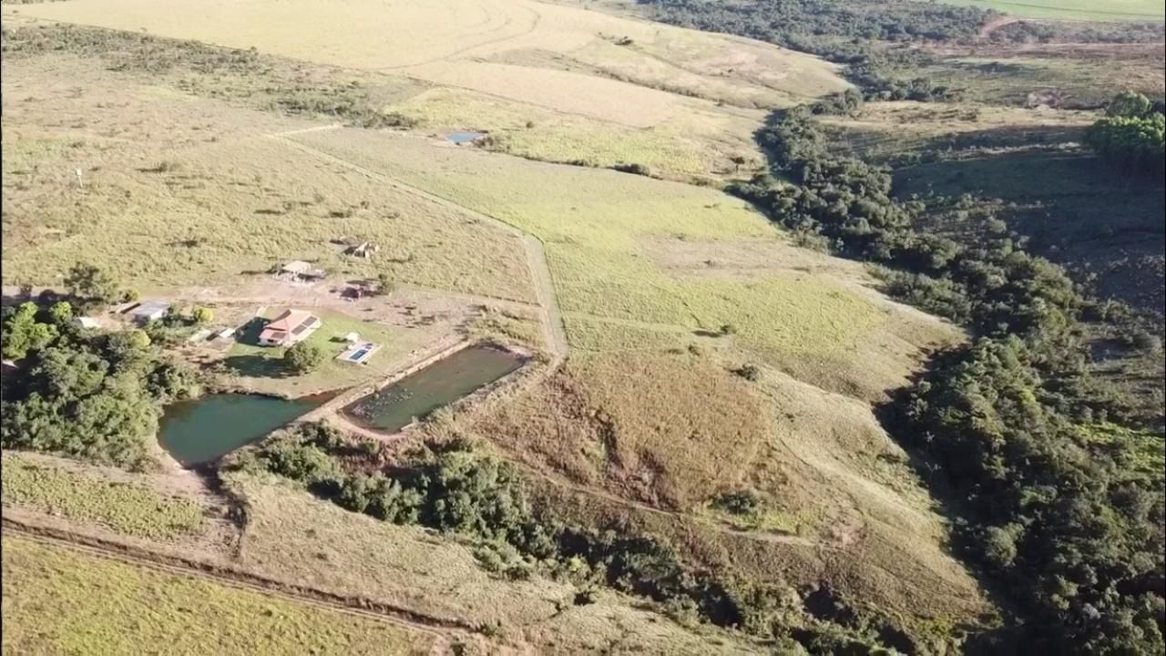 Fazenda à venda com 4 quartos, 330000m² - Foto 4