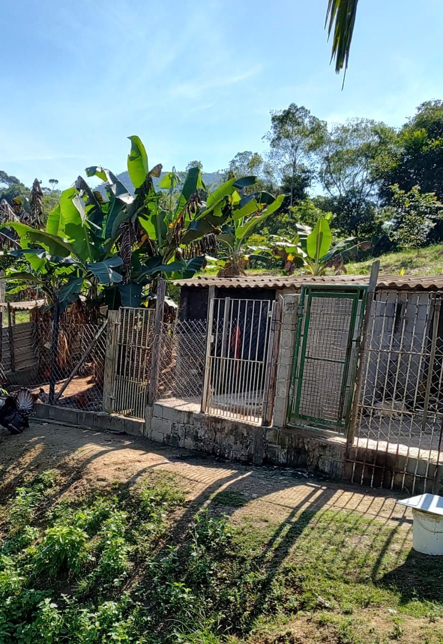 Fazenda à venda com 3 quartos, 36600m² - Foto 14