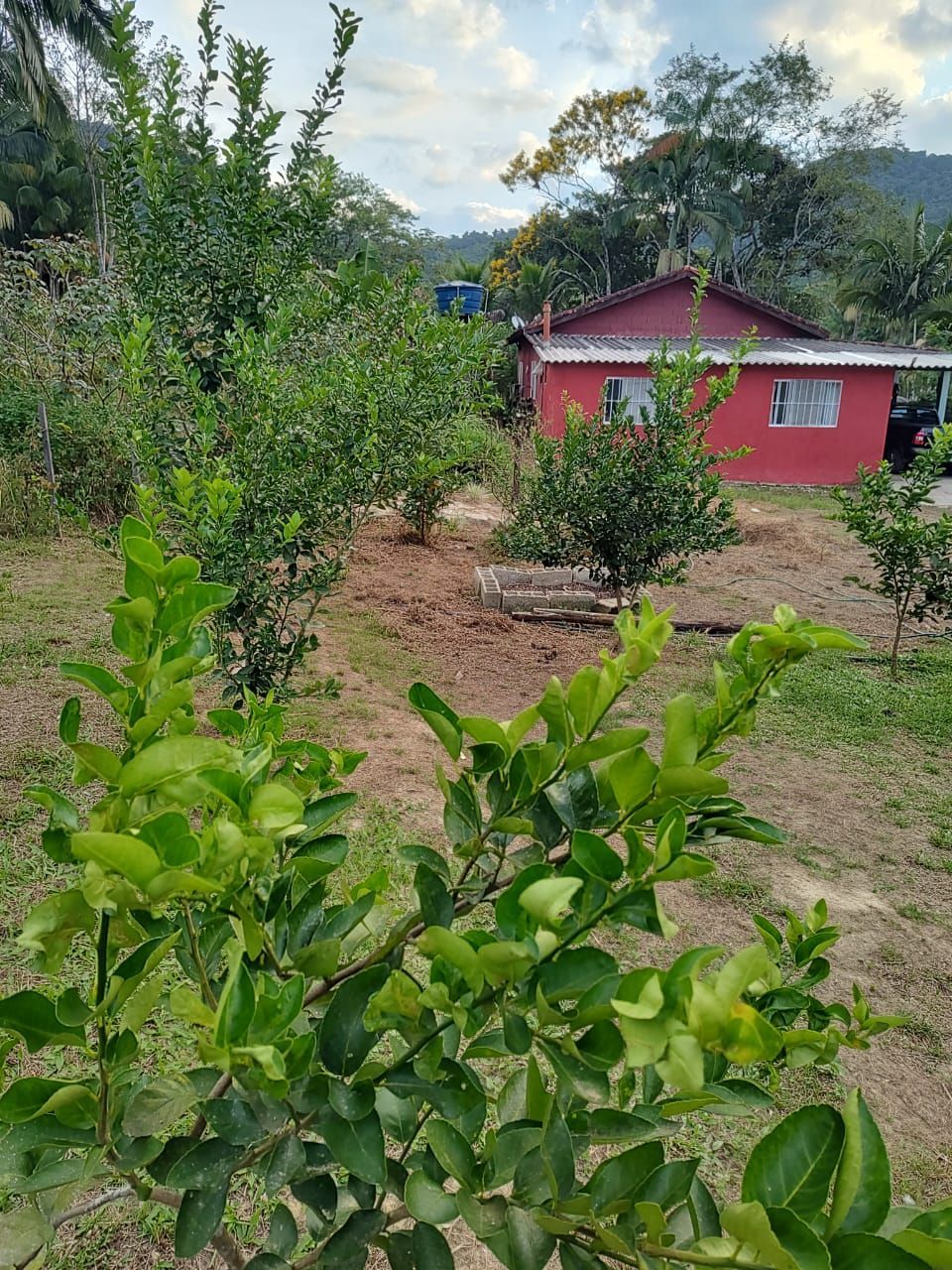 Fazenda à venda com 3 quartos, 36600m² - Foto 18