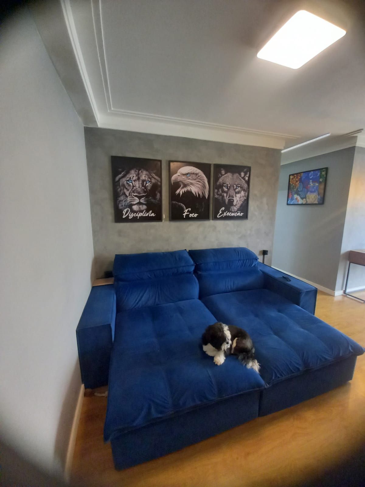 Apartamento para alugar com 3 quartos, 73m² - Foto 8