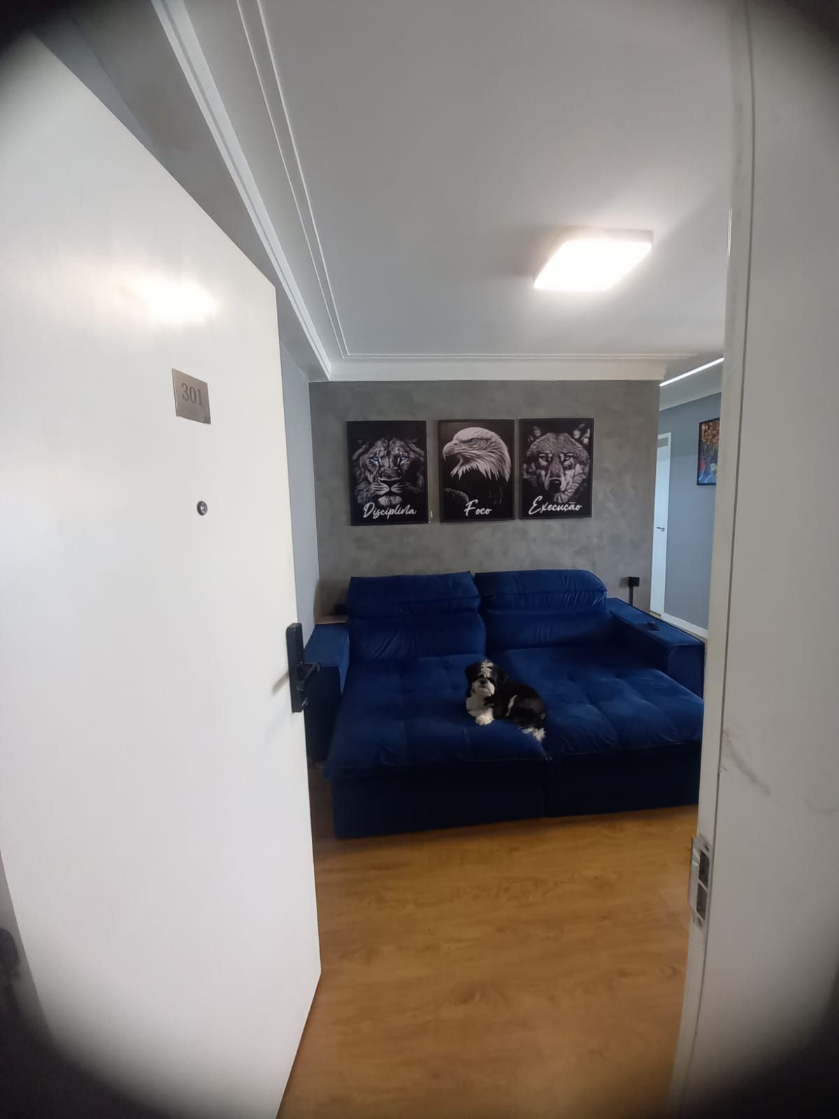 Apartamento para alugar com 3 quartos, 73m² - Foto 7