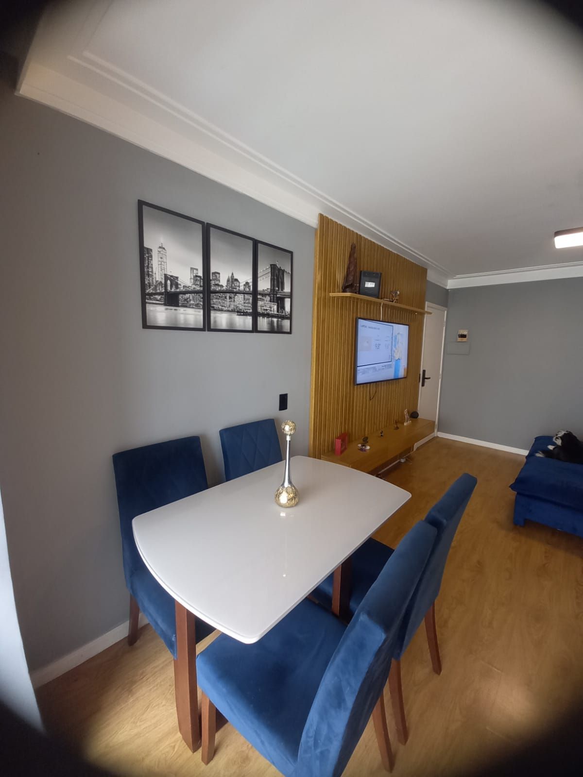 Apartamento para alugar com 3 quartos, 73m² - Foto 5