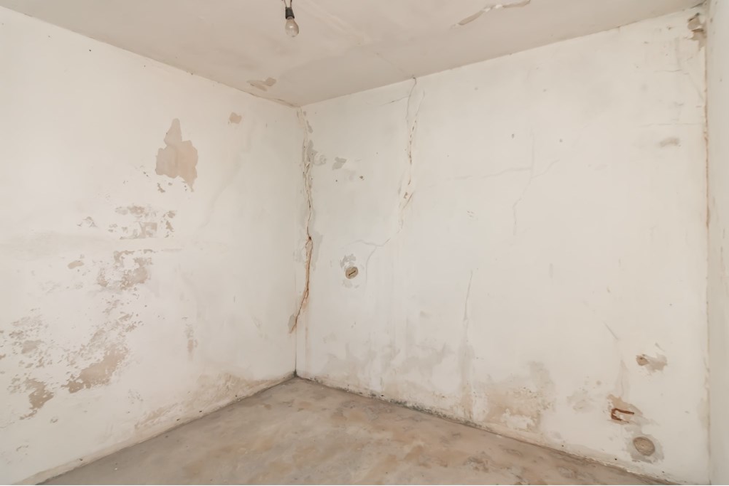 Casa, 4 quartos, 450 m² - Foto 12