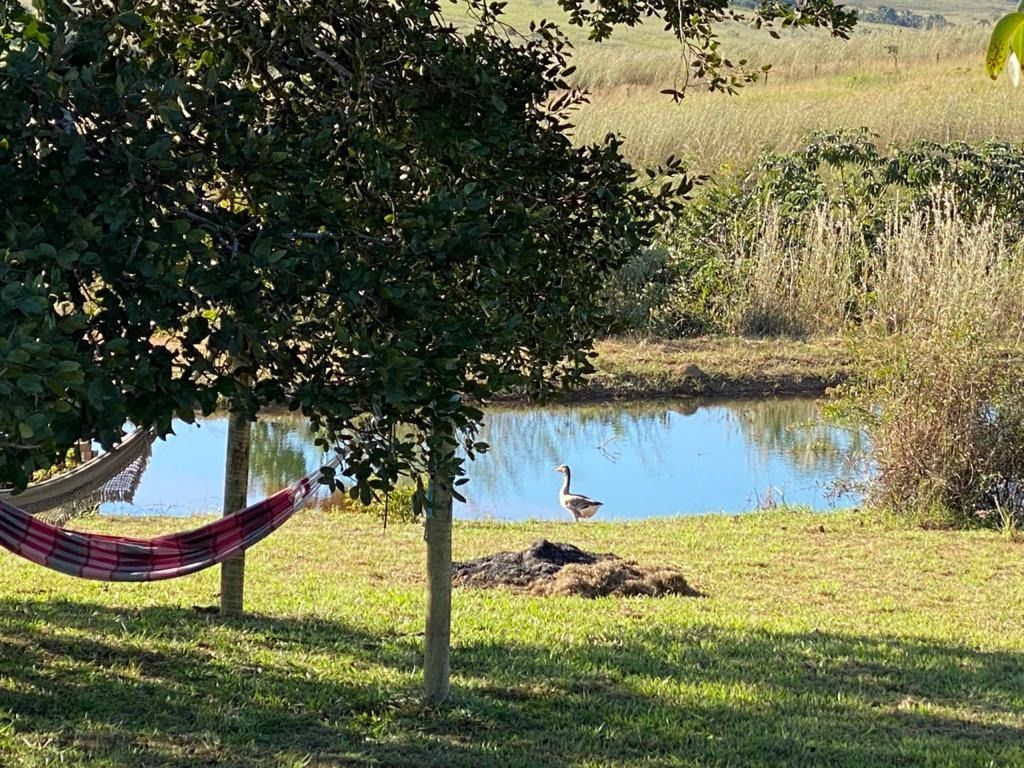 Fazenda à venda com 4 quartos, 330000m² - Foto 16