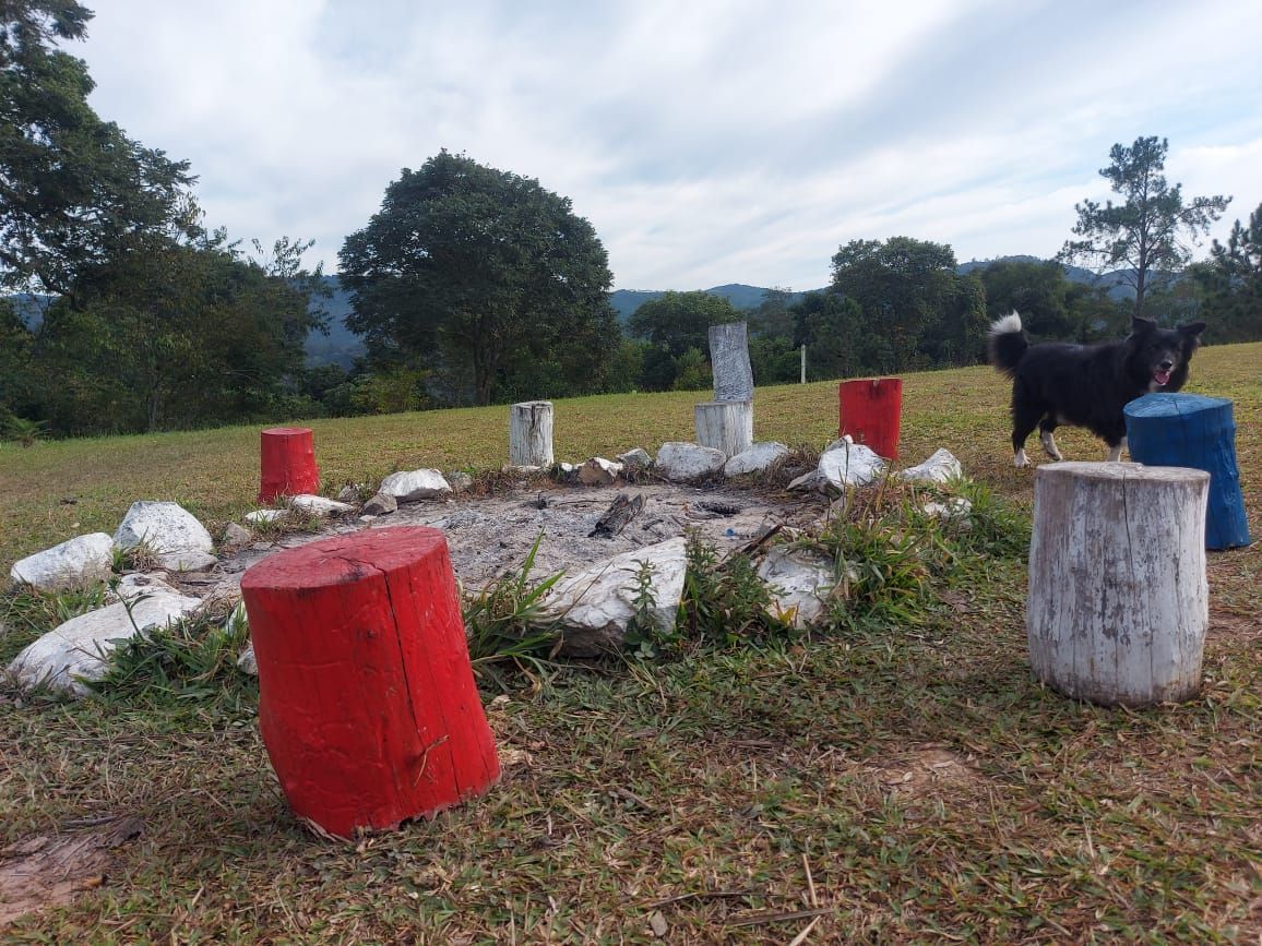 Fazenda à venda com 4 quartos, 40000m² - Foto 6