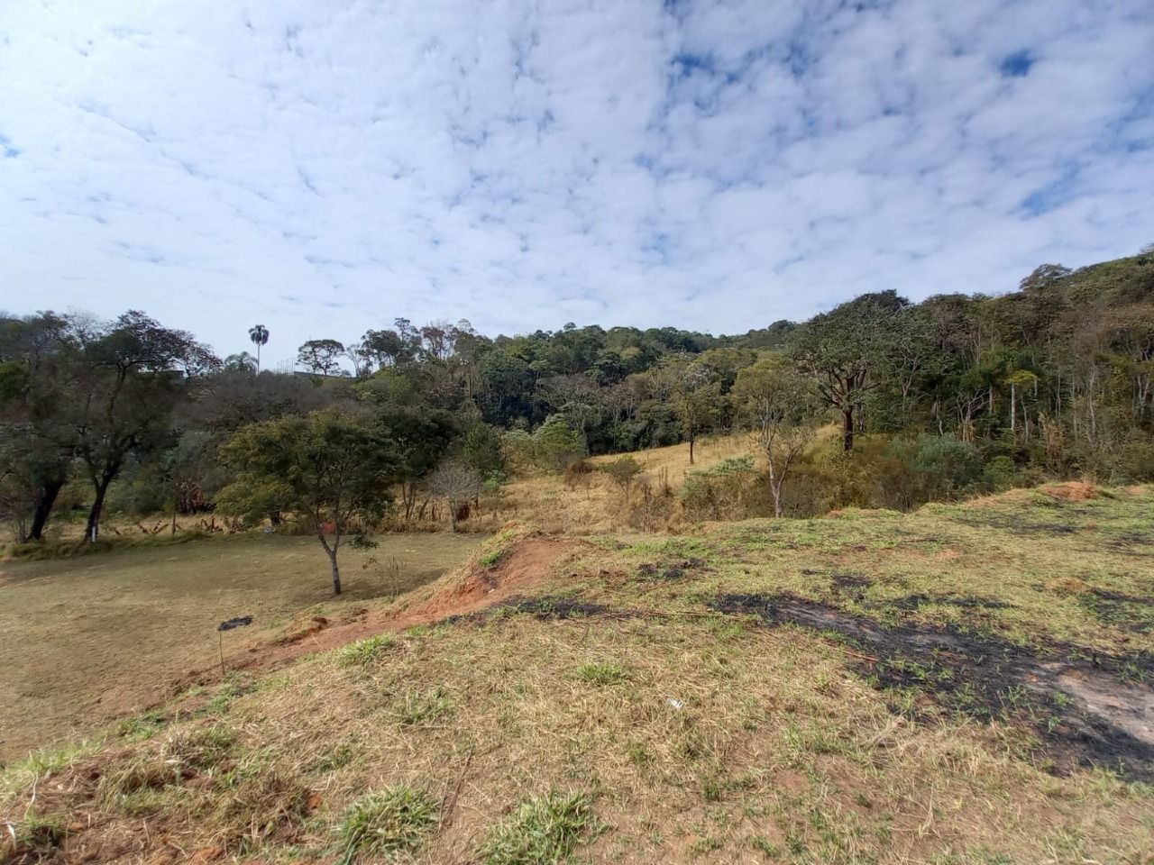 Fazenda à venda com 3 quartos, 105000m² - Foto 17