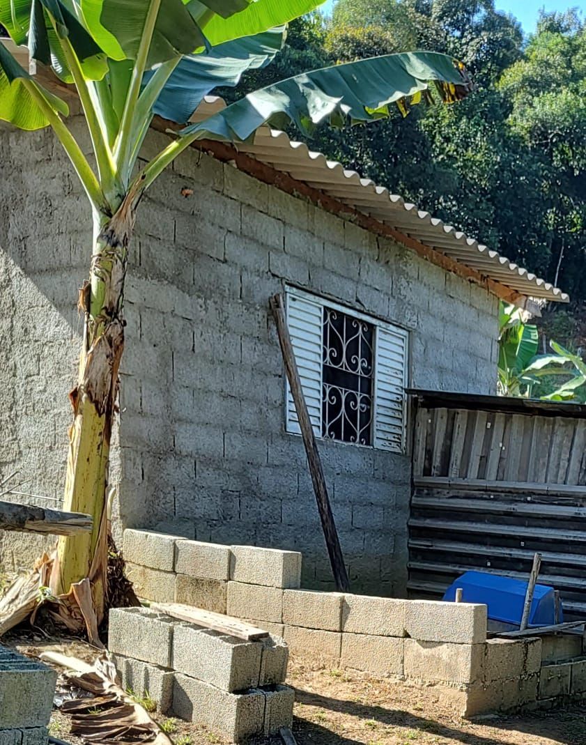 Fazenda à venda com 3 quartos, 36600m² - Foto 8