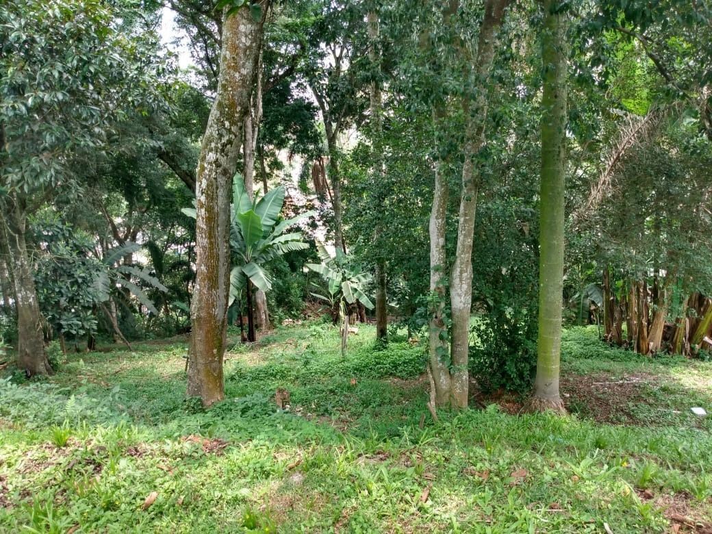 Fazenda à venda com 5 quartos, 7500m² - Foto 22