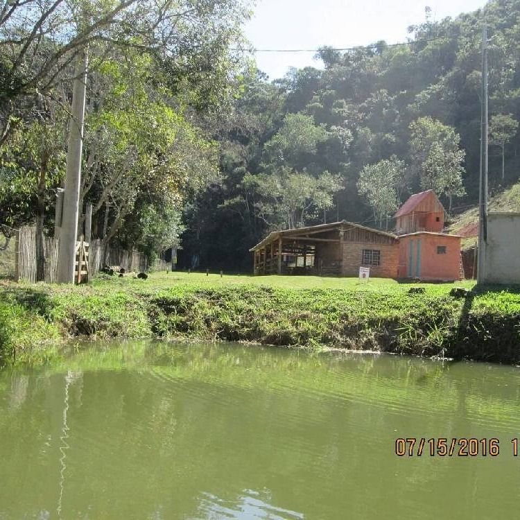 Fazenda à venda com 2 quartos, 300m² - Foto 13