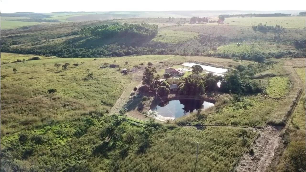 Fazenda à venda com 4 quartos, 330000m² - Foto 5