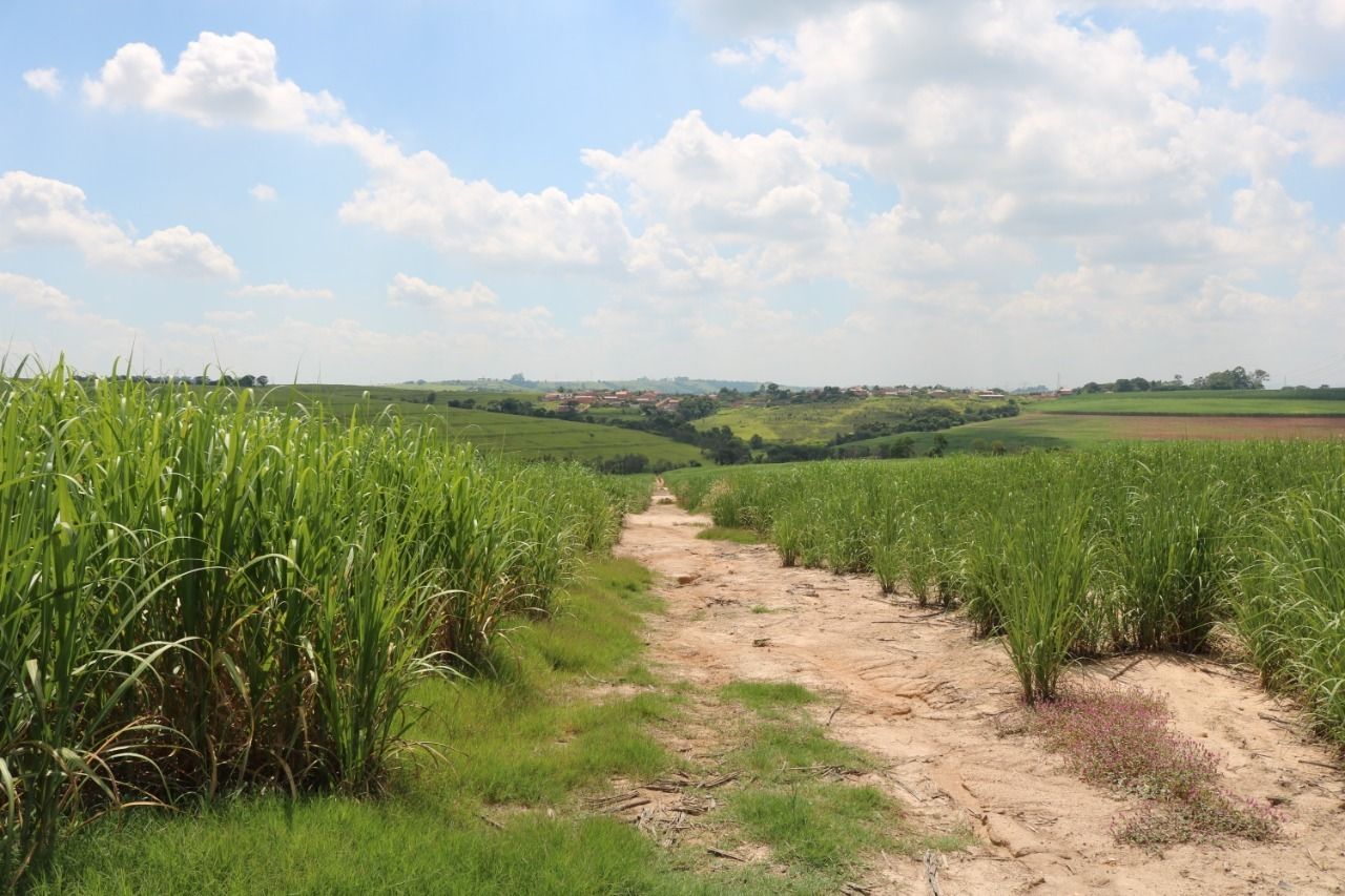 Terreno à venda, 124000m² - Foto 10