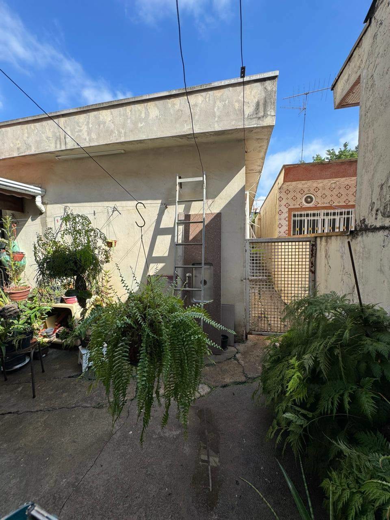 Casa, 3 quartos, 250 m² - Foto 10