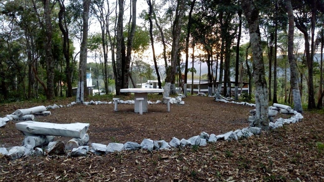Chácara à venda com 4 quartos, 40000m² - Foto 10