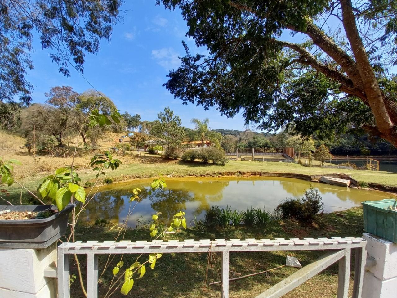 Fazenda à venda com 3 quartos, 105000m² - Foto 19