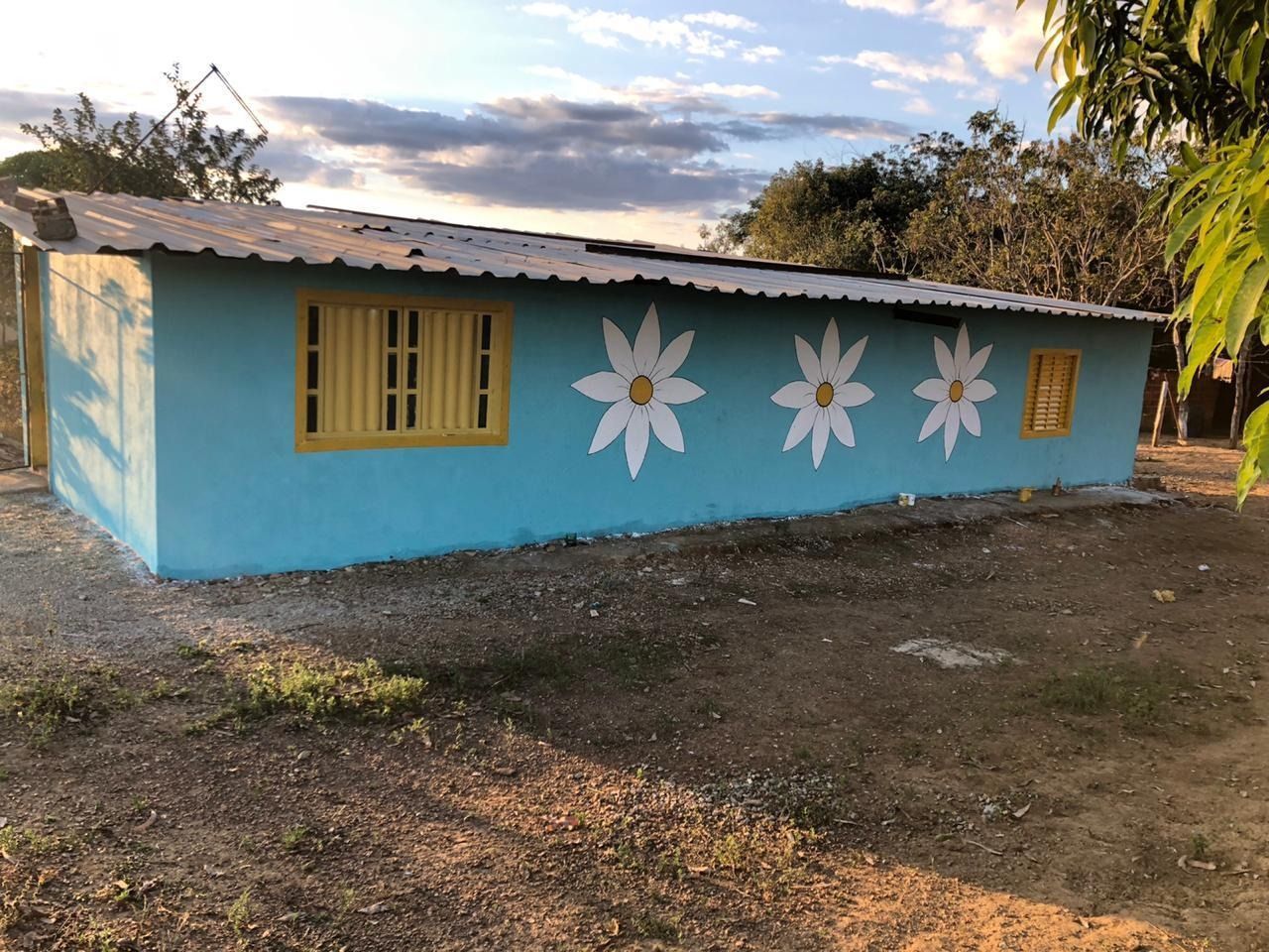 Fazenda à venda com 4 quartos, 330000m² - Foto 6