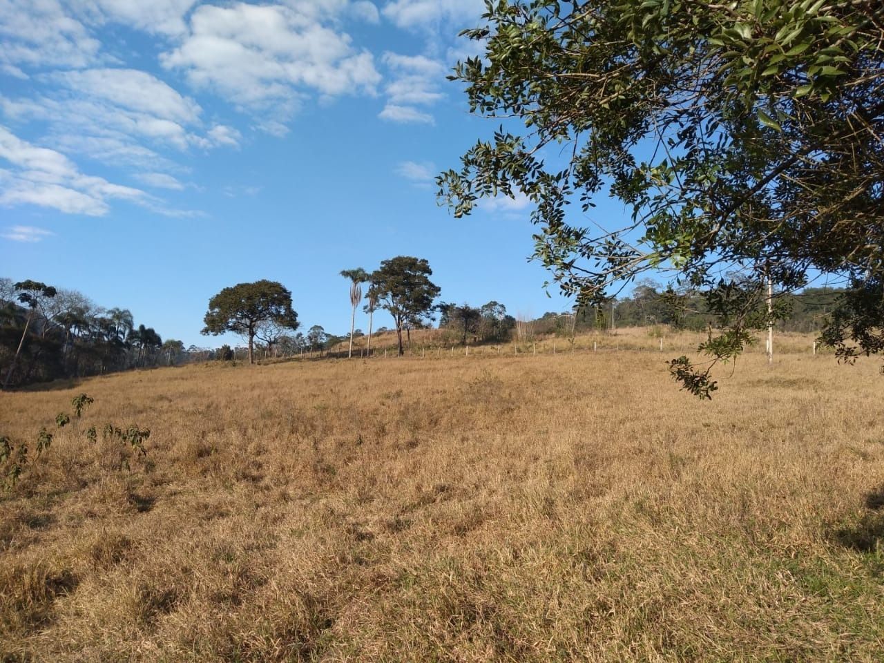 Terreno à venda, 20000m² - Foto 19