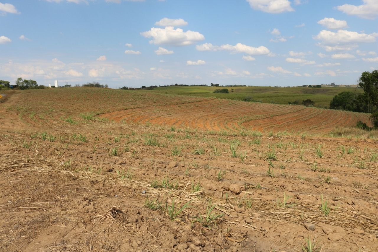 Terreno à venda, 124000m² - Foto 3