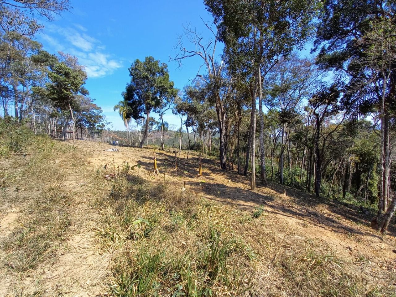 Fazenda à venda com 3 quartos, 105000m² - Foto 18