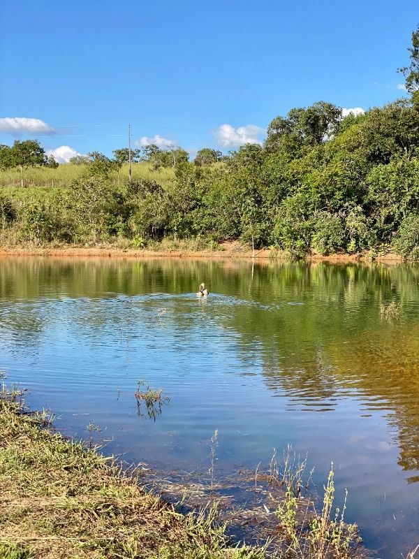 Fazenda à venda com 4 quartos, 330000m² - Foto 8