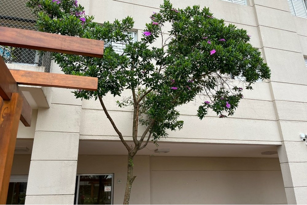 Apartamento à venda com 3 quartos, 90m² - Foto 10