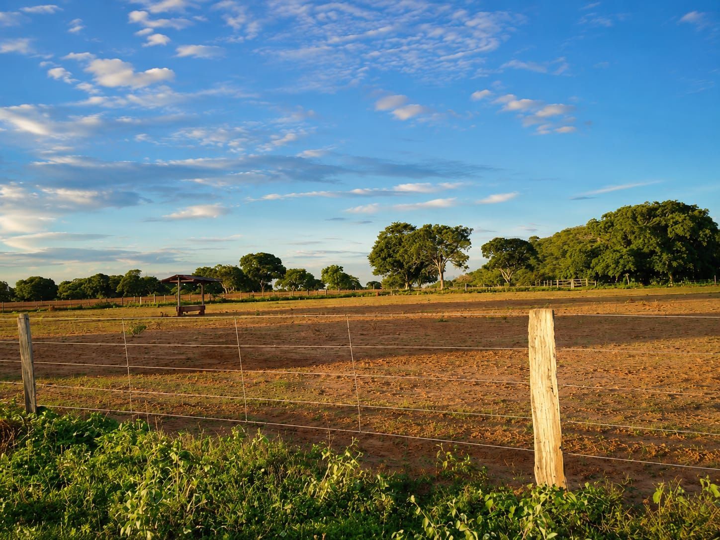Fazenda, 363 hectares - Foto 13