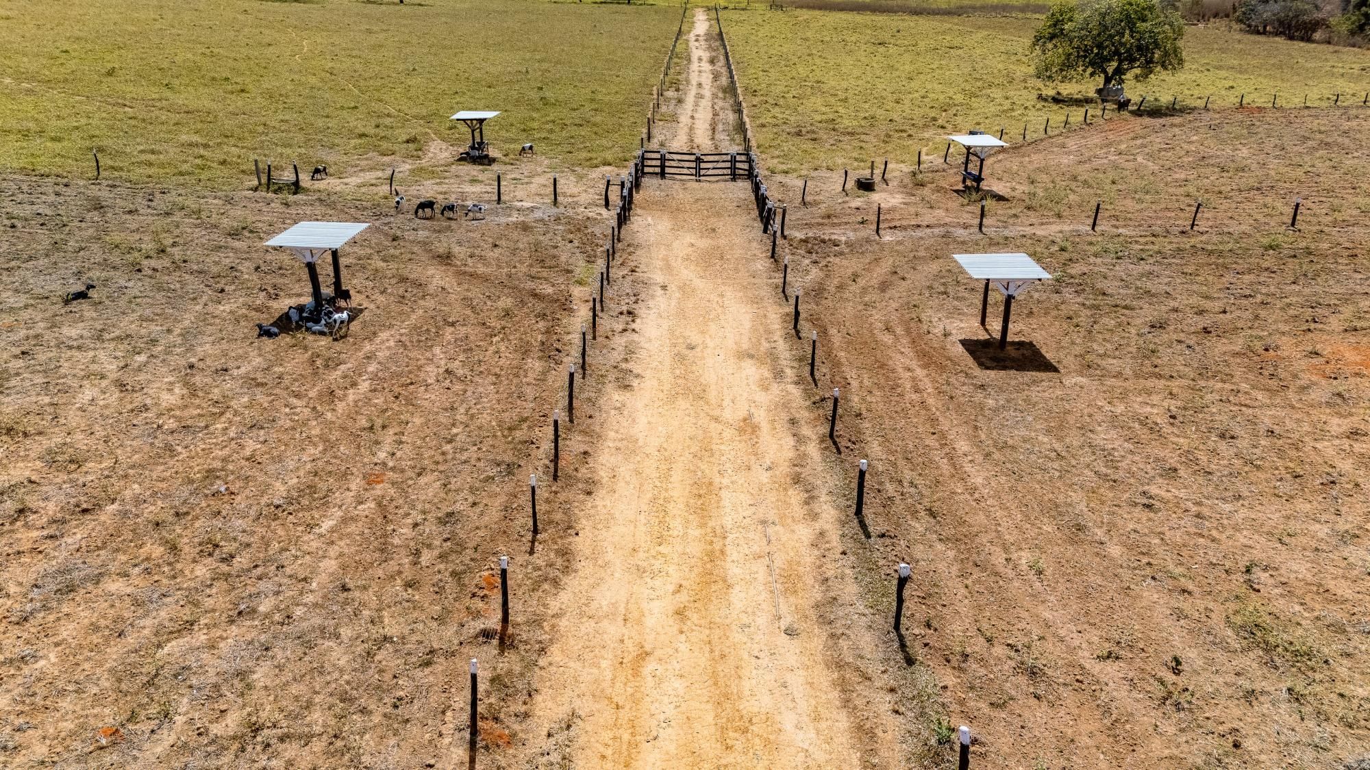 Fazenda, 363 hectares - Foto 34