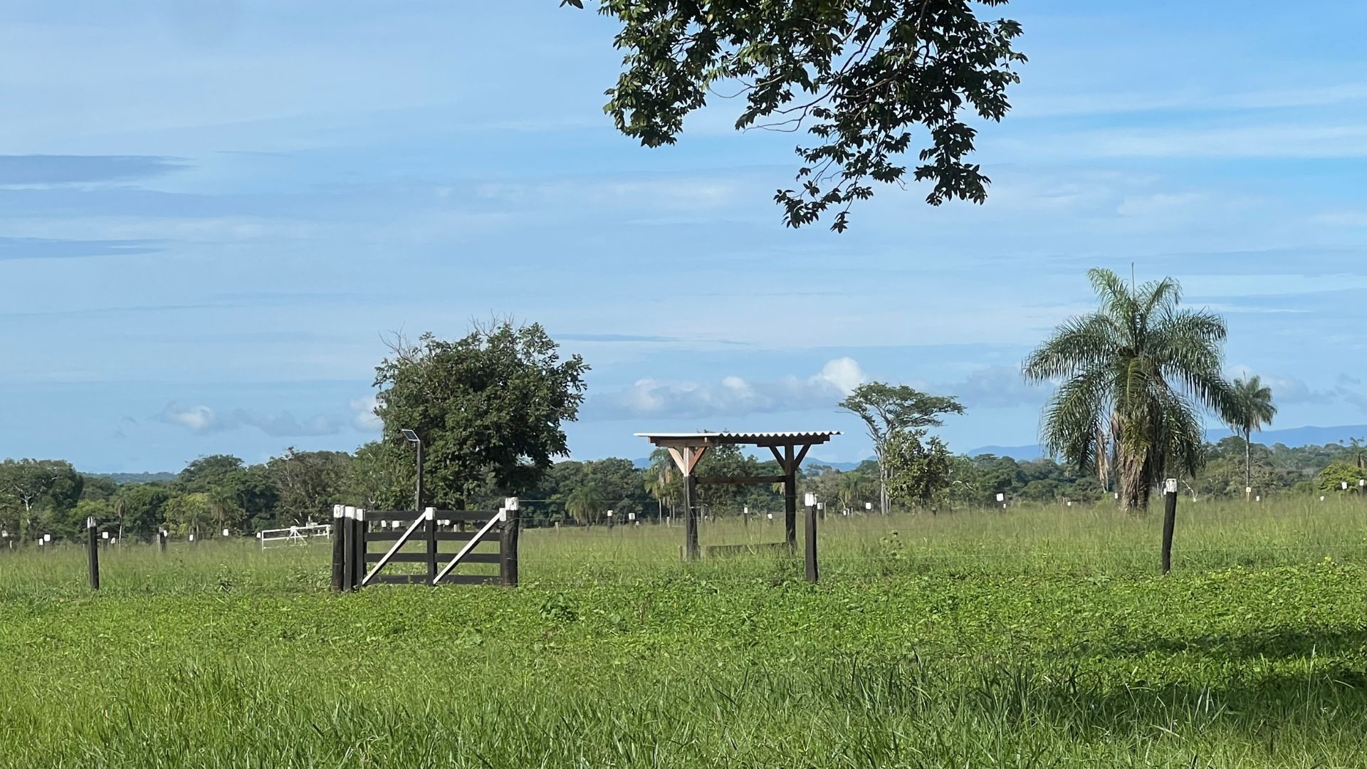 Fazenda, 363 hectares - Foto 15