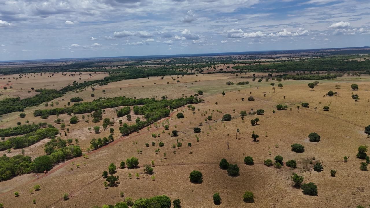Fazenda, 1669 hectares - Foto 12