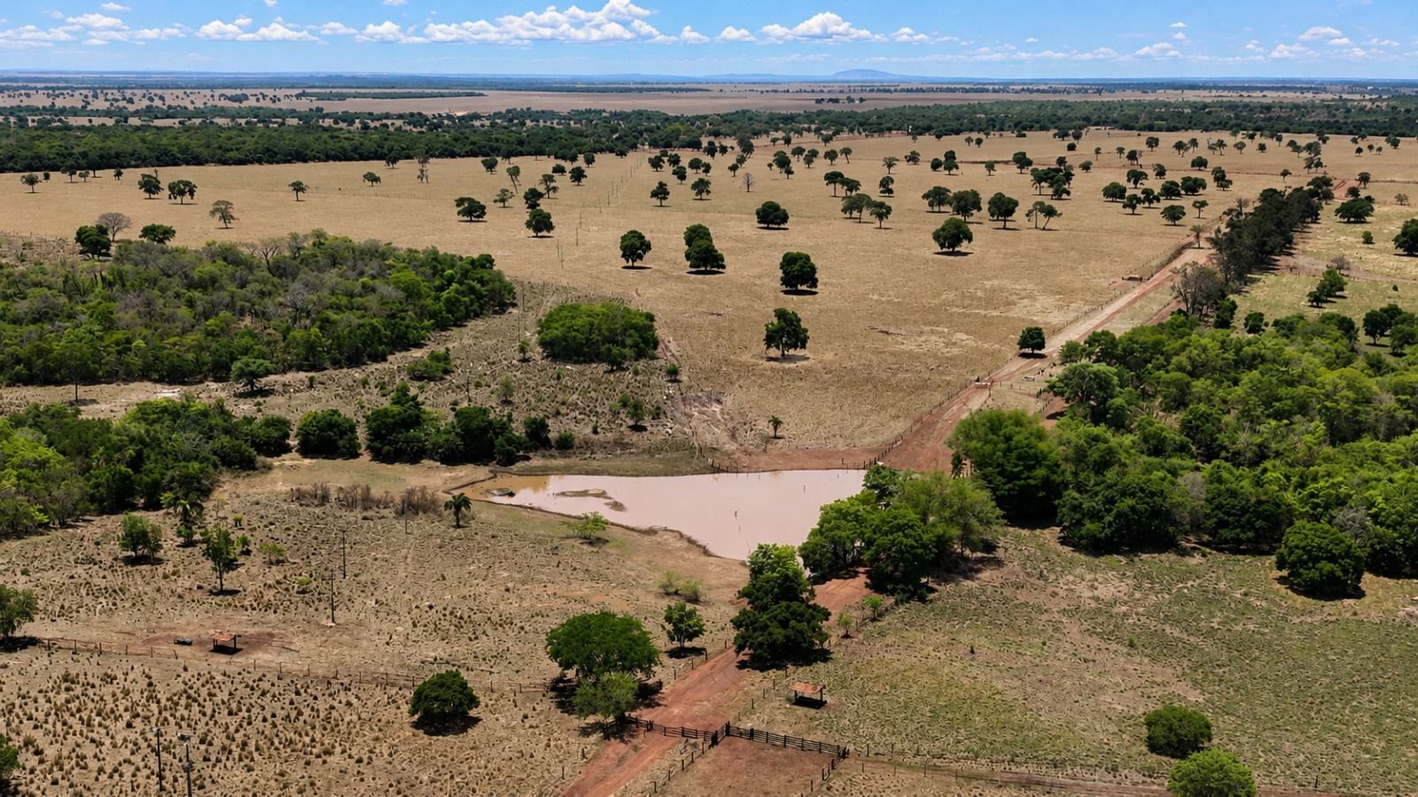 Fazenda, 1669 hectares - Foto 3