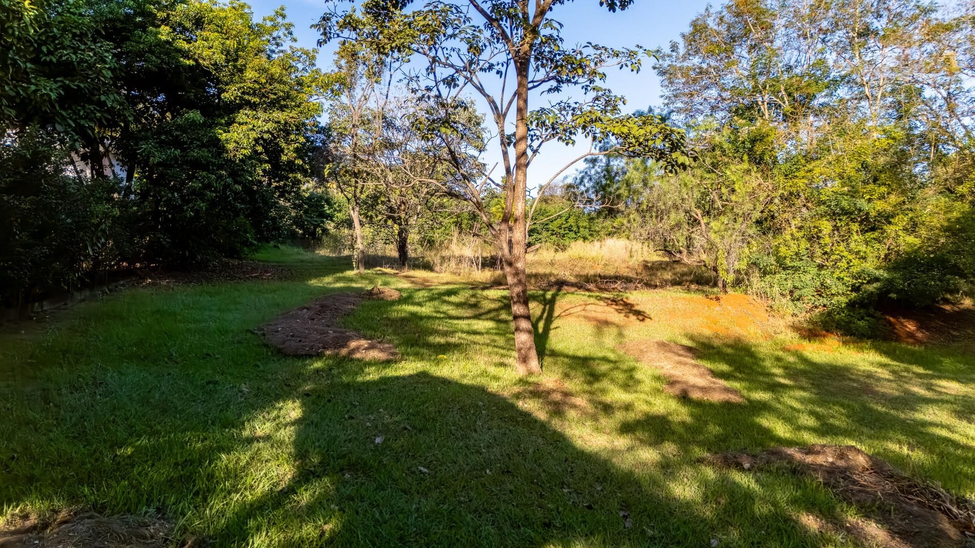 Terreno, 2809 m² - Foto 11