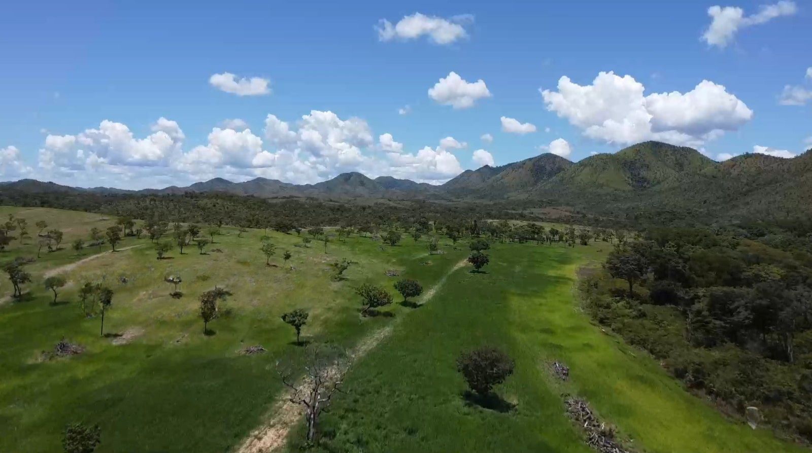 Fazenda, 1452 hectares - Foto 4