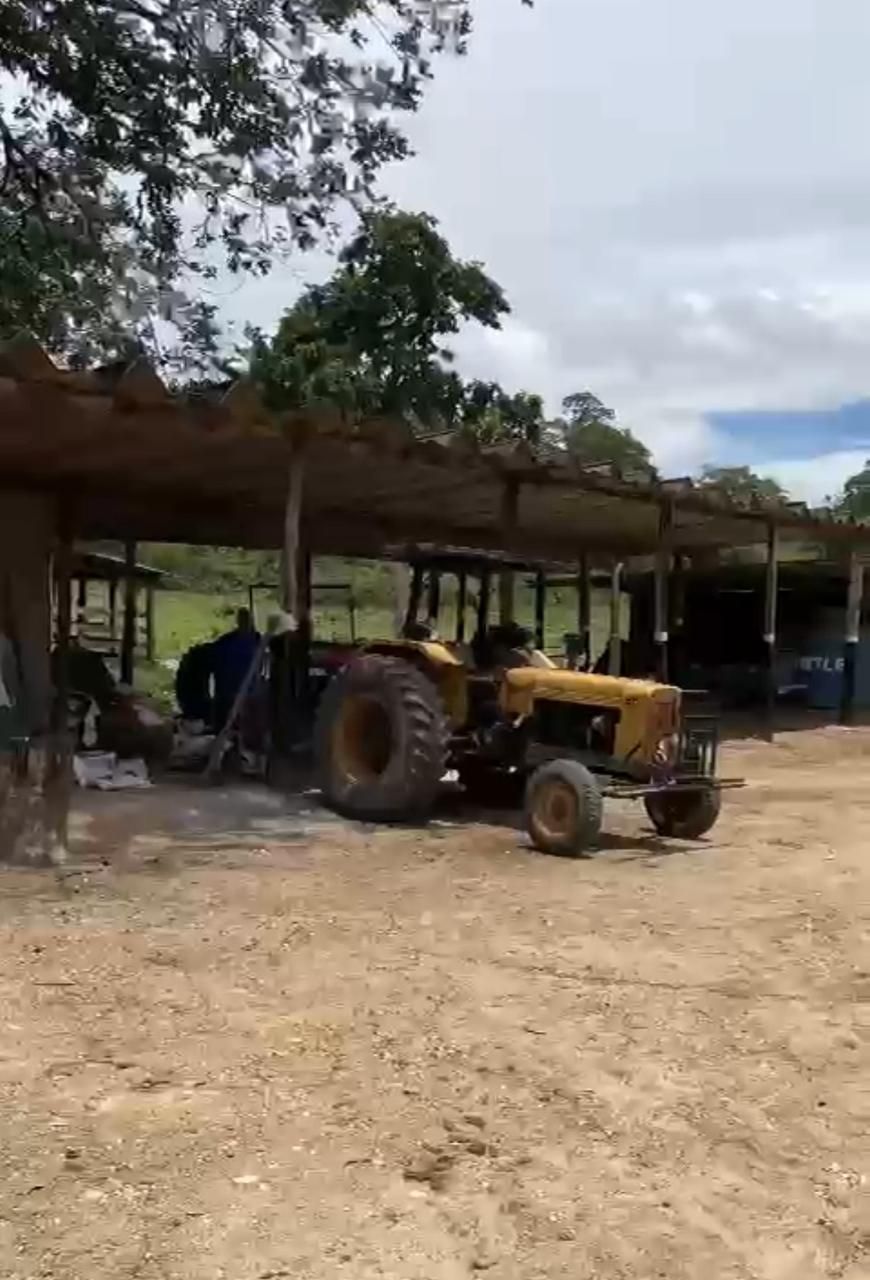 Fazenda, 1452 hectares - Foto 11