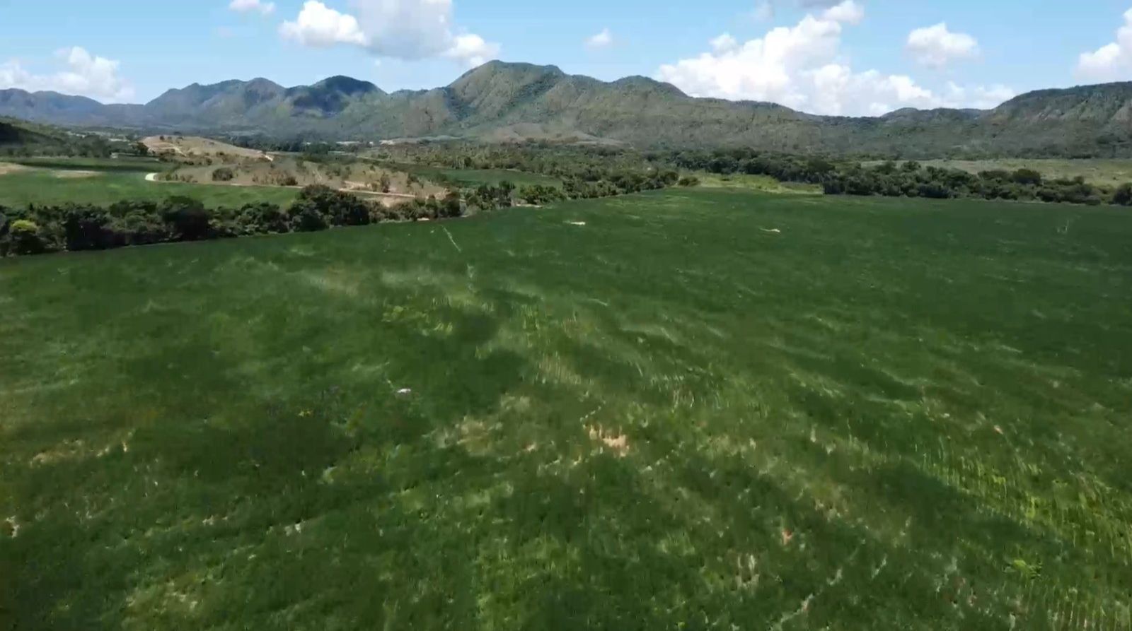 Fazenda, 1452 hectares - Foto 3