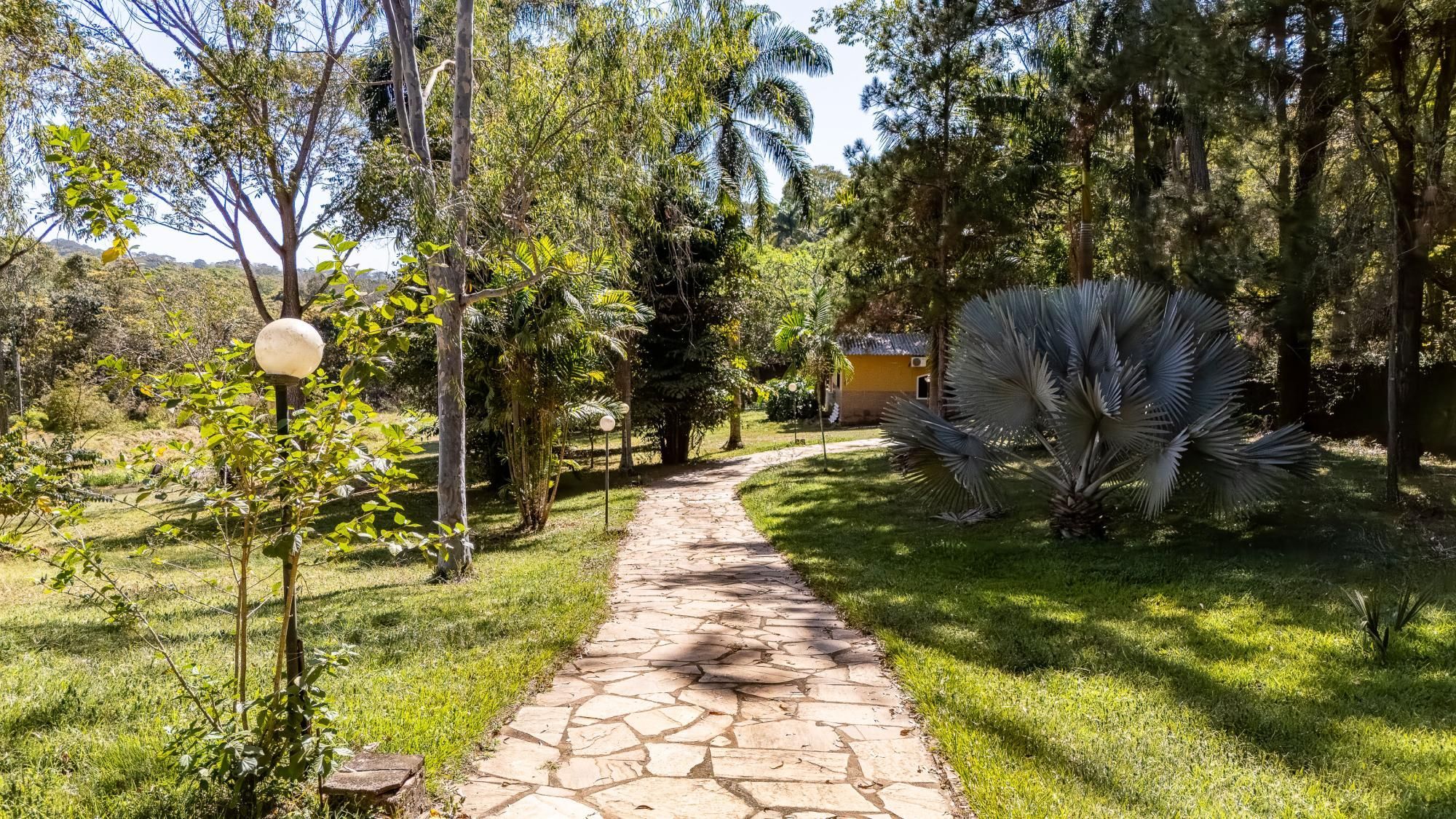 Sítio, 4 quartos, 3 hectares - Foto 6