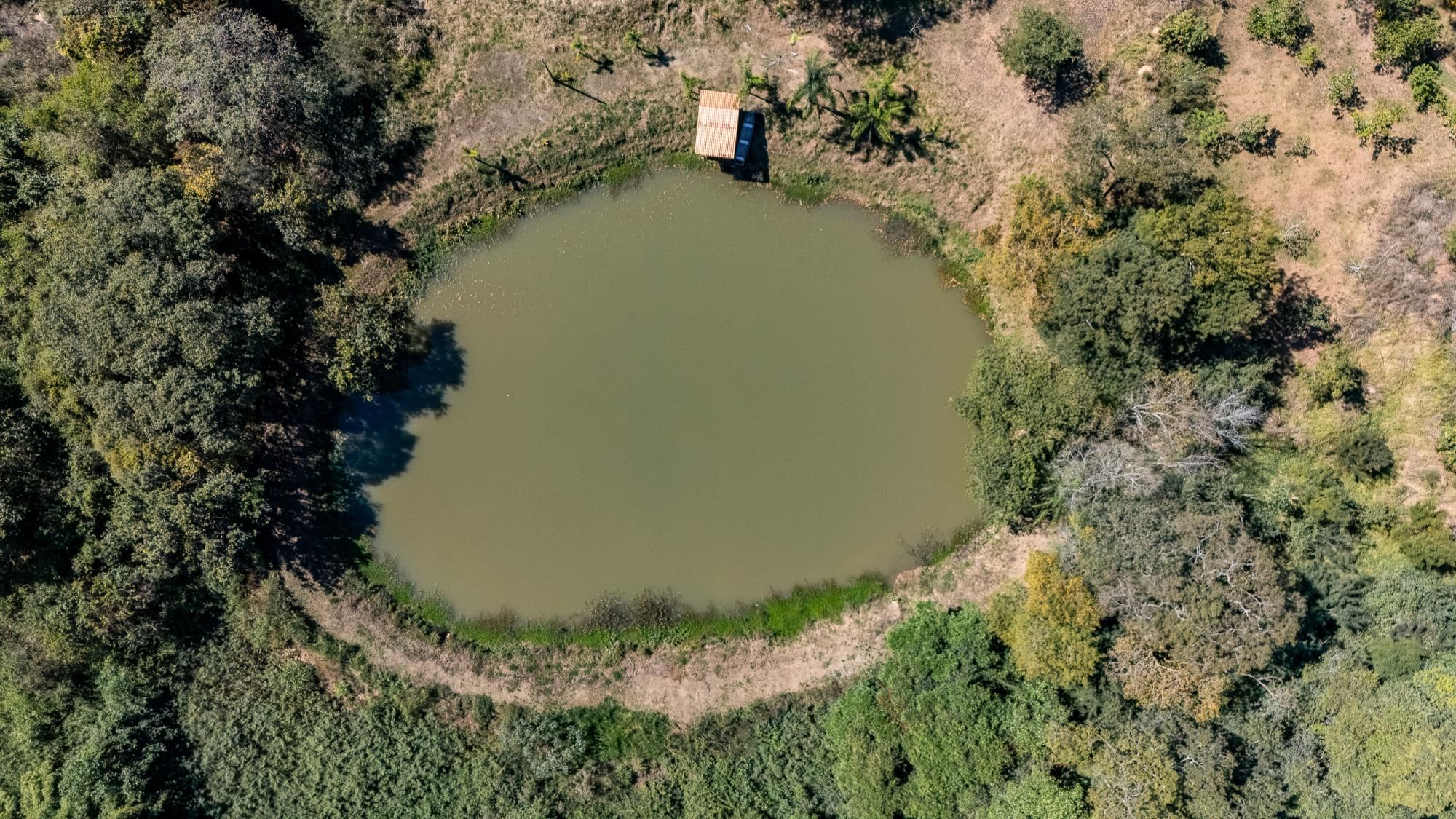 Sítio, 4 quartos, 3 hectares - Foto 4