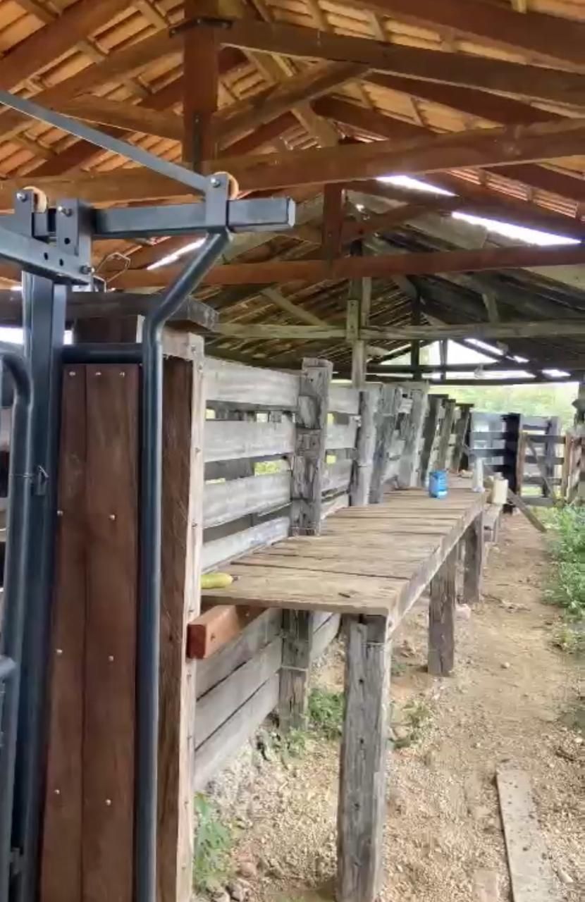 Fazenda, 1452 hectares - Foto 12
