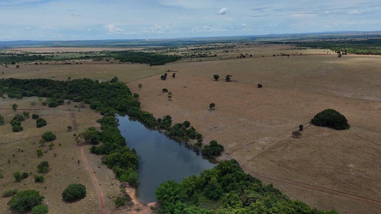 Fazenda, 1669 hectares - Foto 15