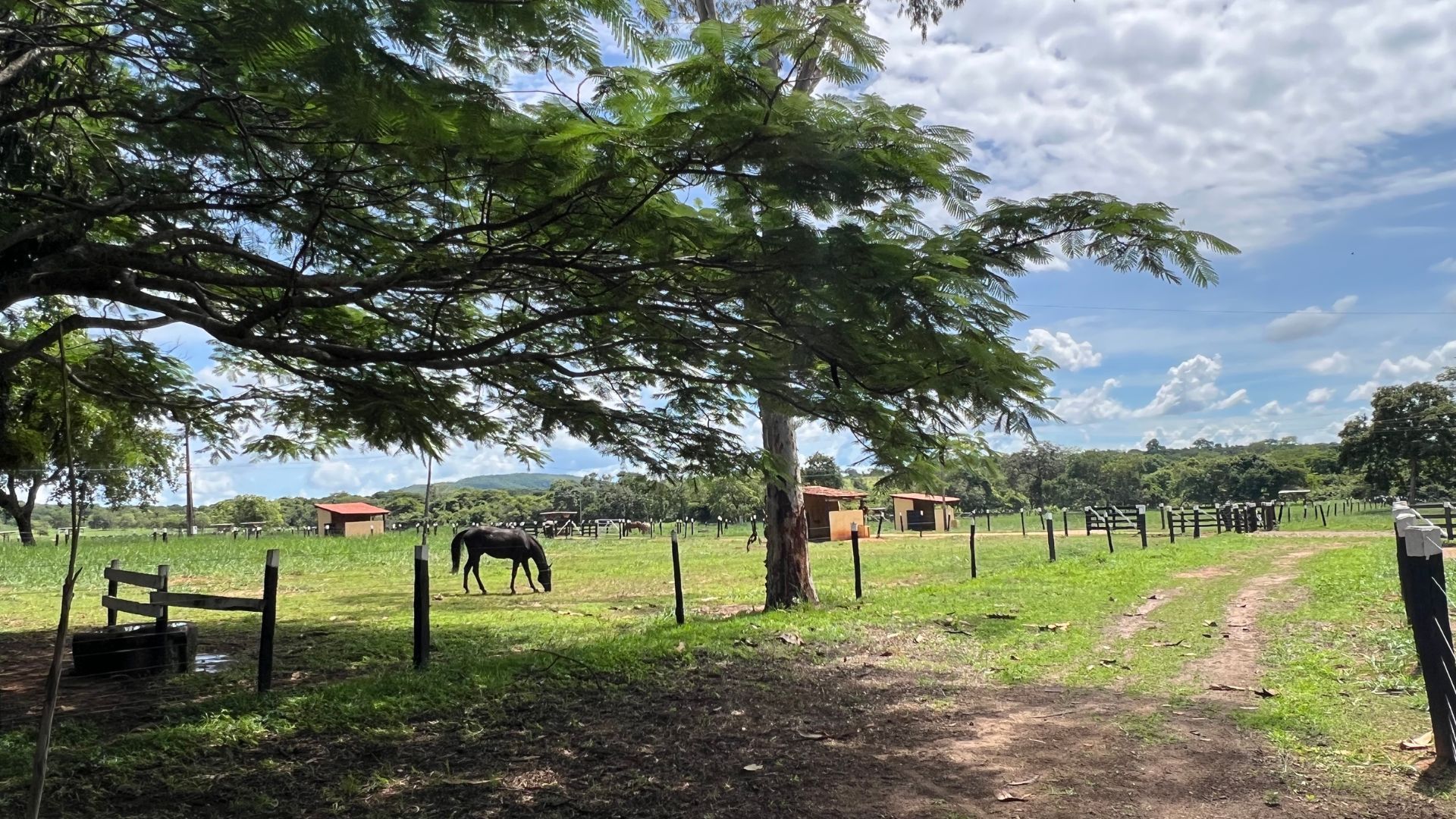 Fazenda, 363 hectares - Foto 16