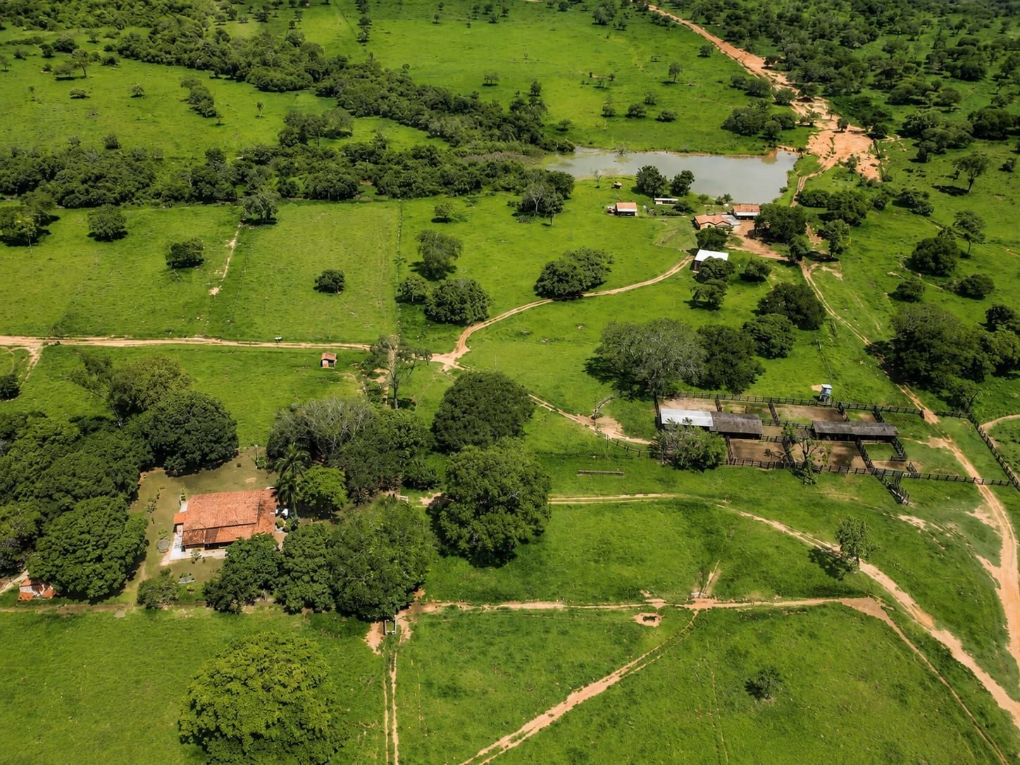 Fazenda, 363 hectares - Foto 80