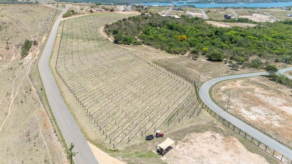 Terreno, 747 m² - Foto 13