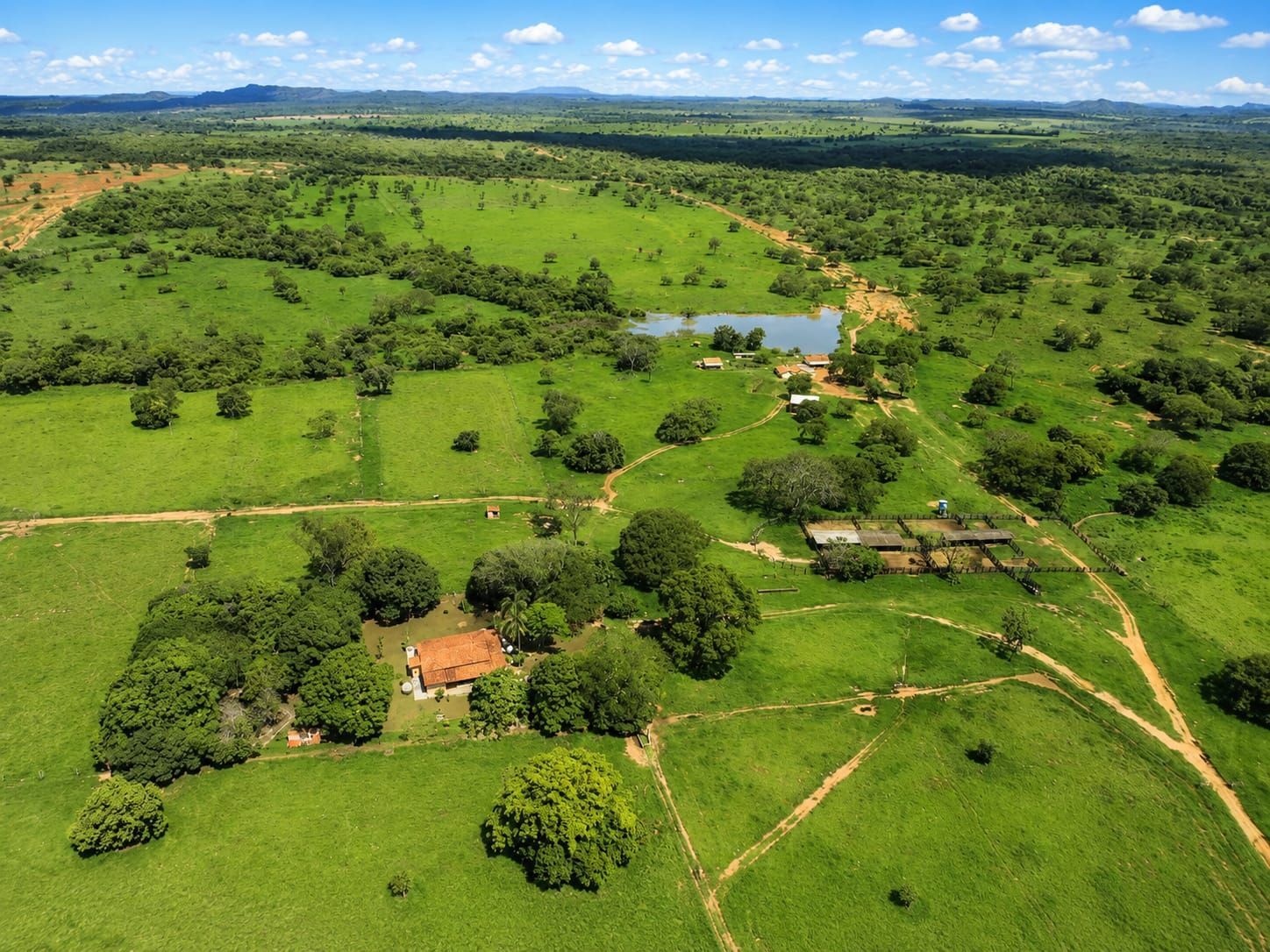 Fazenda, 363 hectares - Foto 5